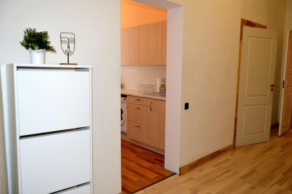 Spacious Old Town Family Peachy 2 Bedrooms Apartment, Nearby The Riga Presidential Castle Εξωτερικό φωτογραφία